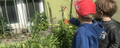 Obserwacja roślin na placu zabaw 